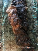 skirt steak-grilled perfectly
